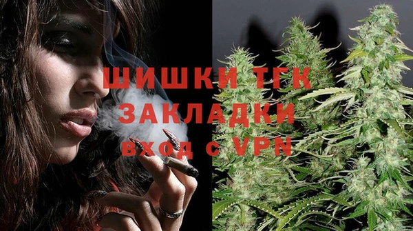 эйфоретик Арсеньев