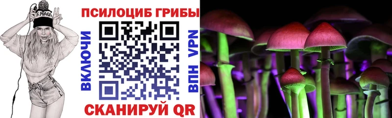 Псилоцибиновые грибы ЛСД  Купить где  Пенза 